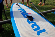 Einsteigerkurs Stand-Up-Paddling - Juni 2025