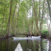 Mecklenburgische Kleinseen