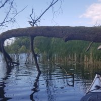 Mecklenburgische Kleinseen