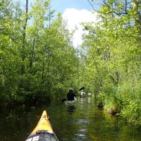 Mecklenburgische Kleinseen