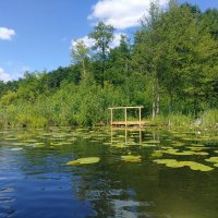 Mecklenburgische Kleinseen