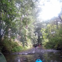 Kleinflussspaß in der Nordheide: Este