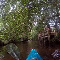 Kleinflussspaß in der Nordheide: Este