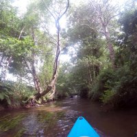 Kleinflussspaß in der Nordheide: Este