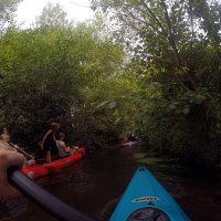 Kleinflussspaß in der Nordheide