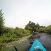 Kleinflussspaß in der Nordheide: Este