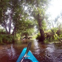 Kleinflussspaß in der Nordheide: Este