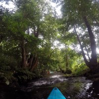 Kleinflussspaß in der Nordheide: Este