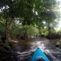 Kleinflussspaß in der Nordheide: Este