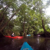 Kleinflussspaß in der Nordheide: Este