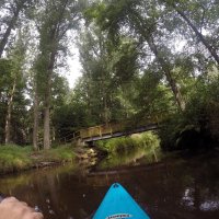 Kleinflussspaß in der Nordheide: Este