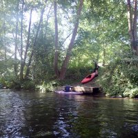 Kleinflussspaß in der Nordheide: Luhe