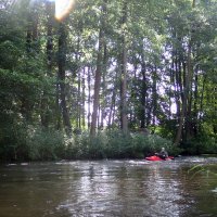 Kleinflussspaß in der Nordheide: Luhe