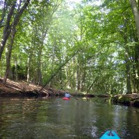 Kleinflussspaß in der Nordheide: Luhe