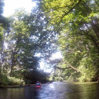 Kleinflussspaß in der Nordheide: Luhe