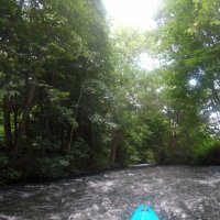 Kleinflussspaß in der Nordheide: Luhe