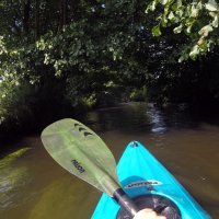 Kleinflussspaß in der Nordheide: Luhe