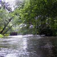 Kleinflussspaß in der Nordheide: Luhe