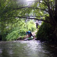 Kleinflussspaß in der Nordheide: Luhe