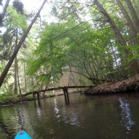 Kleinflussspaß in der Nordheide: Luhe