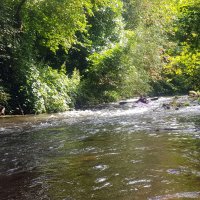 Kleinflussspaß in der Nordheide: Seeve