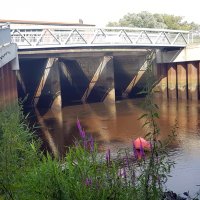 Kleinflussspaß in der Nordheide: Seeve