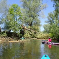 Tagestour auf der Oker