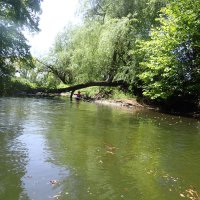 Tagestour auf der Oker