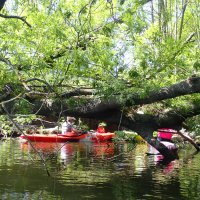 Tagestour auf der Oker