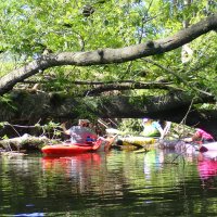 Tagestour auf der Oker