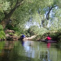 Tagestour auf der Oker