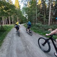 Harz + Bike