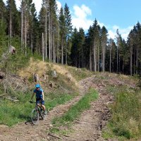 Harz + Bike