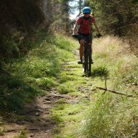 Harz + Bike