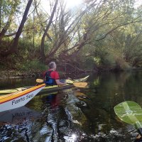 Leine-Kanal-Runde