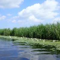 Niederlande: Dokkum