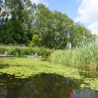 Niederlande: Dokkum