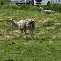 Niederlande entdecken