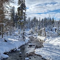 Winter-Harzwochenende