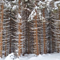 Winter-Harzwochenende