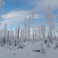 Winter-Harzwochenende