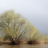 Aller-Hochwasser-Rallye