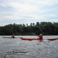 Schlei