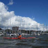 Schlei