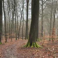 Deisterwanderung