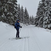 Oderbrück