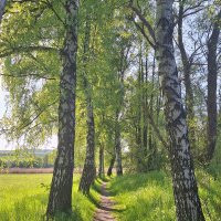 Eder und Schwalm