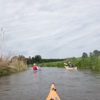 Langlingen - Runde