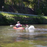 2019: Baddeln in Franken - Pegnitz