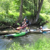 2019: Baddeln in Franken - Pegnitz